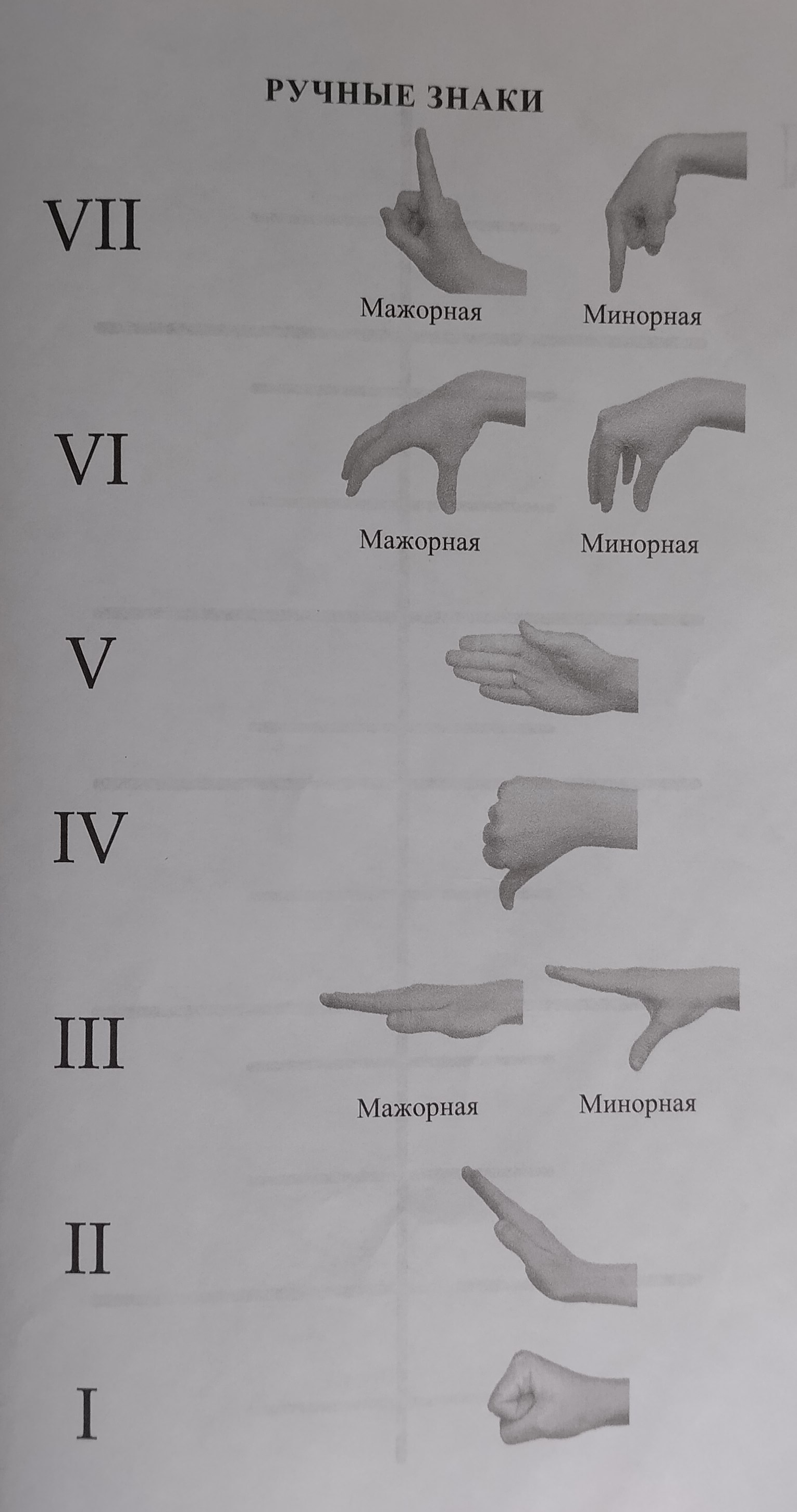 Руки